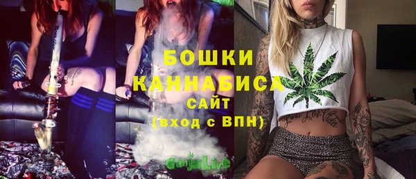 мдпв Волосово