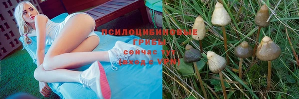 трава Володарск