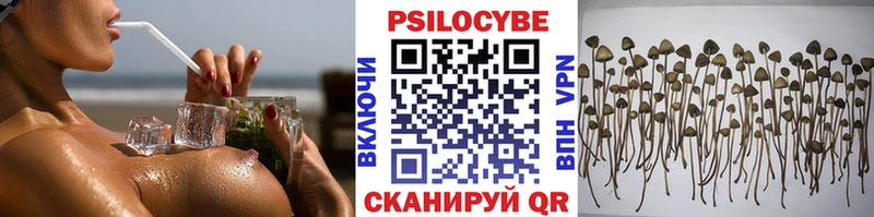 Галлюциногенные грибы мицелий  Купить  Прохладный 