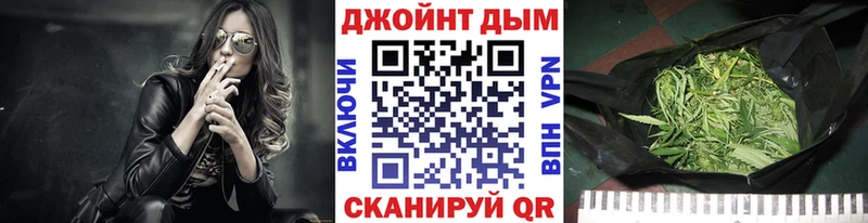 Купить  Прохладный  Шишки марихуана план 